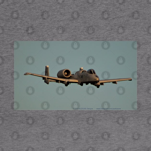 A-10C Warthog on Brrrrt run by acefox1